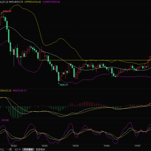 退伍军人节美股休市，黄金却“偷偷”涨至两周半高位！下一个目标4200？ ...