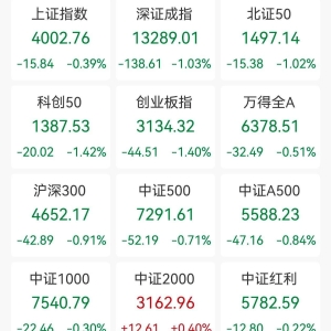 A股收评：三大指数集体调整，沪指跌0.39%，深证成指、创业板指跌逾1%，培育钻石、光伏 ...