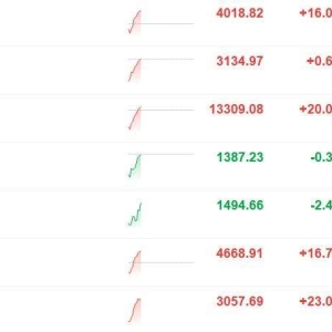 A股三大指数集体翻红，创业板指此前一度跌超1%，沪指拉升涨0.4%，油气、医药、有色金 ...