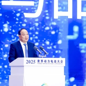 事关磷酸铁锂 曾毓群透露技术大突破！年底将建成1000座换电站 ...