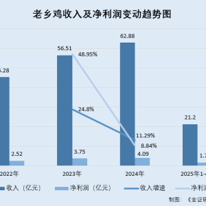 老乡鸡：加盟店毛利率走低顾客人均消费额下滑 关联方总经理与供应商或关系待解 ...