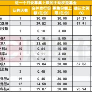 权益基金大厂率先“刹车” 对绩优基金打出控规模组合拳 是何信号？ ...