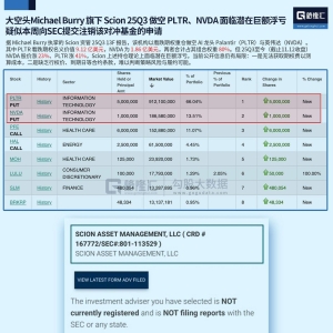 “大空头”做空Palantir价值9.12亿美元、英伟达1.86亿美元面临潜在巨额浮亏！疑似本周 ...