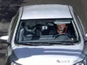 叼着牙线棒开车，驾驶员被罚！权力不能“任性到牙缝”