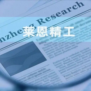 莱恩精工：前次申报突击更名为“精工” 主业构成未发生重大变化或选择性披露行业分类 ...