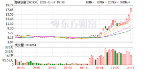 暴涨超200% 两只大牛股停牌核查