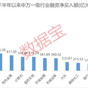 融资余额处于近15年高位！5股下半年以来获融资客爆买