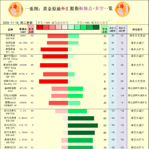 一张图：2025年11月18日黄金原油外汇股指“枢纽点+多空持仓信号”一览 ...