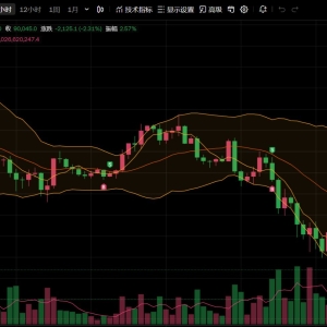 比特币7个月来首次跌破9万美元！加密货币全网超17万人爆仓 67亿元化为乌有！啥情况？ ...