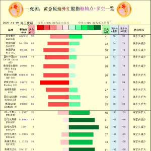 一张图：2025年11月19日黄金原油外汇股指“枢纽点+多空持仓信号”一览 ...