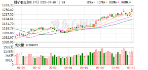 锂矿概念逆势走强 杠杆资金抢筹这些股(名单)