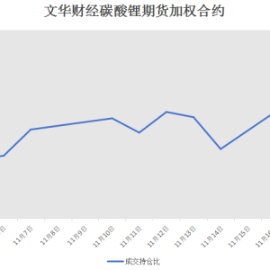 远月合约全线破10万元/吨 碳酸锂期货“投机活跃度”创新高