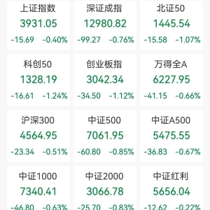 A股收评：三大指数集体下跌，沪指跌0.4%创业板指跌逾1%，水产养殖、预制菜、有机硅领 ...