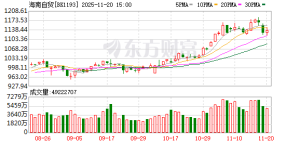 龙头高标5天3板！海南概念爆发 融资客抢筹这些票(表格)