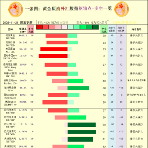 一张图：2025年11月21日黄金原油外汇股指“枢纽点+多空持仓信号”一览 ...
