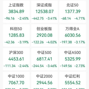 A股收评：指数放量大跌！沪指跌2.45%，创指、北证50跌逾4%，锂矿、锂电股跌停潮，江龙 ...
