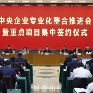 新央企开始组建！中国旅游集团牵头组建央企邮轮运营平台公司 ...