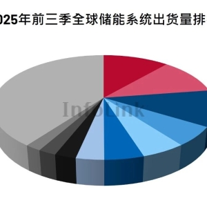 储能“出海加速度”跑出20倍大牛股：揭秘一众厂商背后掌握的“财富密码” ...