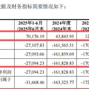 明日申购！“国产GPU第一股”来了
