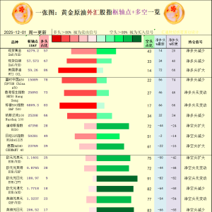 一张图：2025年12月1日黄金原油外汇股指“枢纽点+多空持仓信号”一览 ...