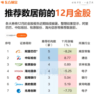 阿里、中际旭创领衔！券商12月金股出炉 这些股最受青睐