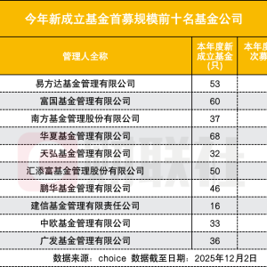 年内新成立基金规模超万亿，二八分化，募资前十名揽入三成资金 ...
