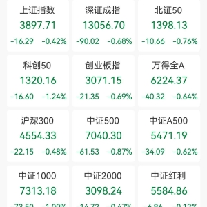 A股收评：三大指数集体下跌，沪指跌0.42%创指跌0.69%，福建板块逆市爆发，食品饮料走 ...