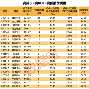 被错杀？业绩翻倍+高ROE+未来高成长+高回撤优质股 30股上榜