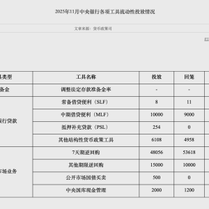 央行连续两月开展国债买卖操作 11月净投放规模较上月扩大300亿 ...
