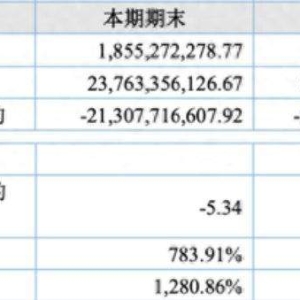 已退市至股转系统交易的乐视网负债238亿，拟投1.8亿北交所新股认购、二级市场自由买卖 ...