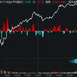 摩尔高开低走日，A股延续反弹时