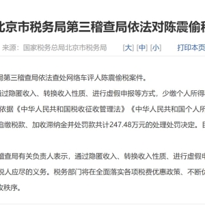 网络车评人陈震偷税被查，处理处罚共计247.48万元！各平台账号已被禁言或封禁 ...