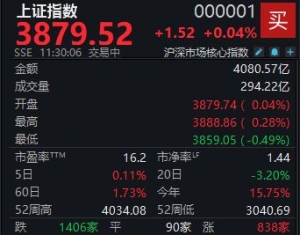 A股震荡攀升，沪指半日微涨0.04%
