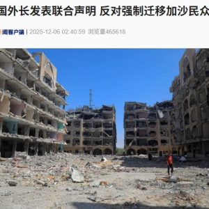 土耳其、沙特、卡塔尔、约旦、阿联酋、印度尼西亚、巴基斯坦和埃及八国外长发表联合声 ...