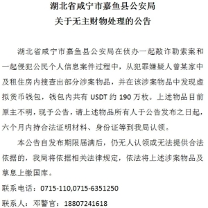 湖北一地公告：寻找190万枚USDT币原主人