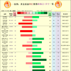 一张图：2025年12月9日黄金原油外汇股指“枢纽点+多空持仓信号”一览 ...
