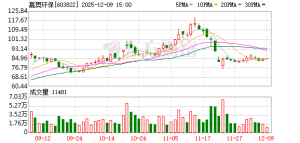 2年虚增净利近2600万 牛股嘉澳环保将被“ST”