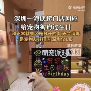 给宠物狗过生日引热议，海底捞：是宠物友好门店，宠物就餐区和正常就餐区不在一起 ...
