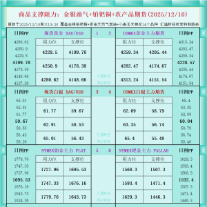 一张图看商品支撑阻力：金银油气+铂钯铜农产品期货(2025年12月10日) ...