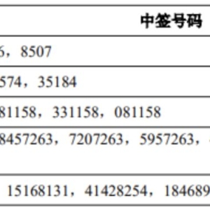 沐曦股份，被网上投资者放弃认购20349股！