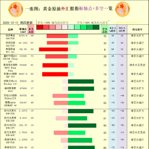一张图：2025年12月11日黄金原油外汇股指“枢纽点+多空持仓信号”一览 ...