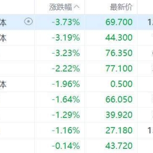 港股芯片股普跌，华虹半导体、天域半导体、英诺赛科跌超3%，ASMPT跌超2%，宏光半导体 ...