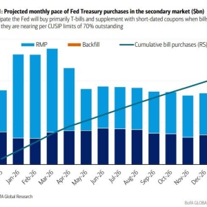 华尔街纷纷改预期：美联储明年将鲸吞逾5000亿美元短期国库券？ ...