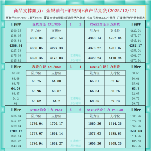 一张图看商品支撑阻力：金银油气+铂钯铜农产品期货(2025年12月12日) ...