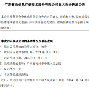 紫晶存储造假案一审判决！10名高管被判刑 管理层“全员沦陷” ...