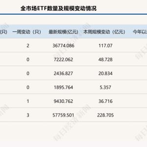 ETF总规模达5.78万亿元，这类产品两周“吸金”超140亿元 | ETF规模周报 ...