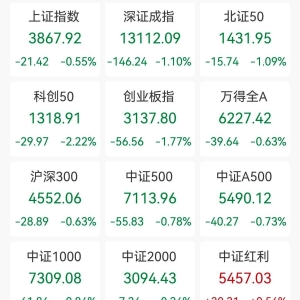 A股收评：三大指数集体下跌，沪指跌0.55%，深证成指、创业板指跌逾1%科创50跌逾2%，乳 ...