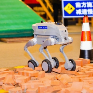 现在是机器人创业最好的时代？从跳舞表演到救援、插花  具身智能还在寻找“共识” ...